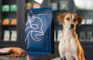 Custom dog food packaging pouch displayed beside dog and fresh ingredients